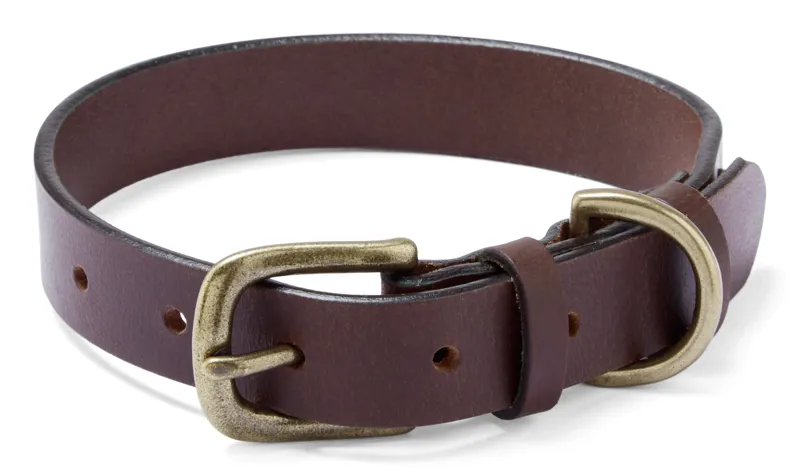 Le Chameau Dog Collar  L